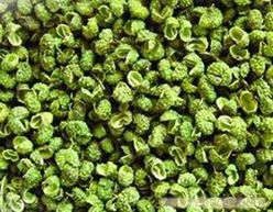 南五味子 传统中药的价值与现代发展